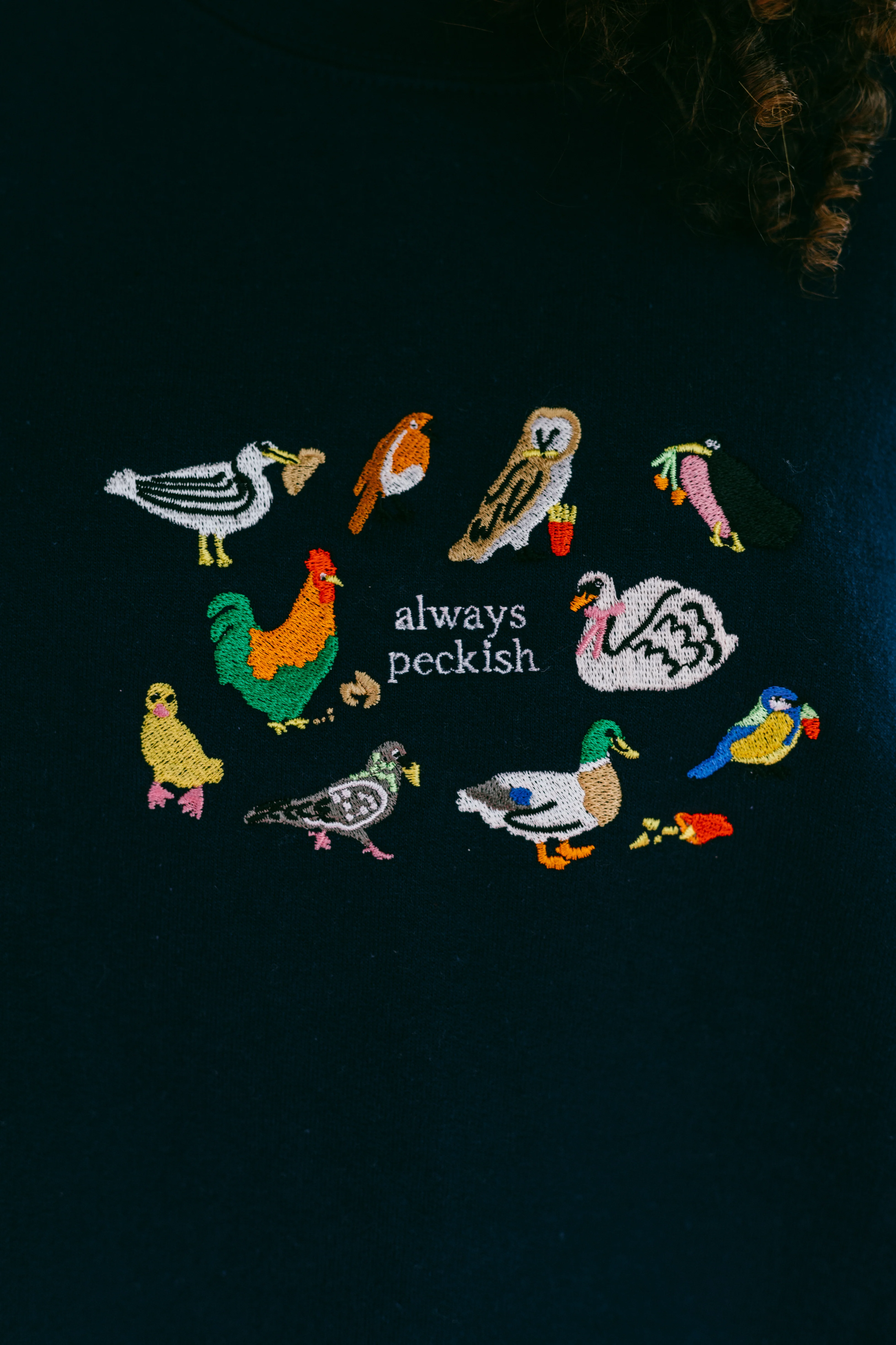 Always Peckish Embroidered Sweatshirt - Image 21