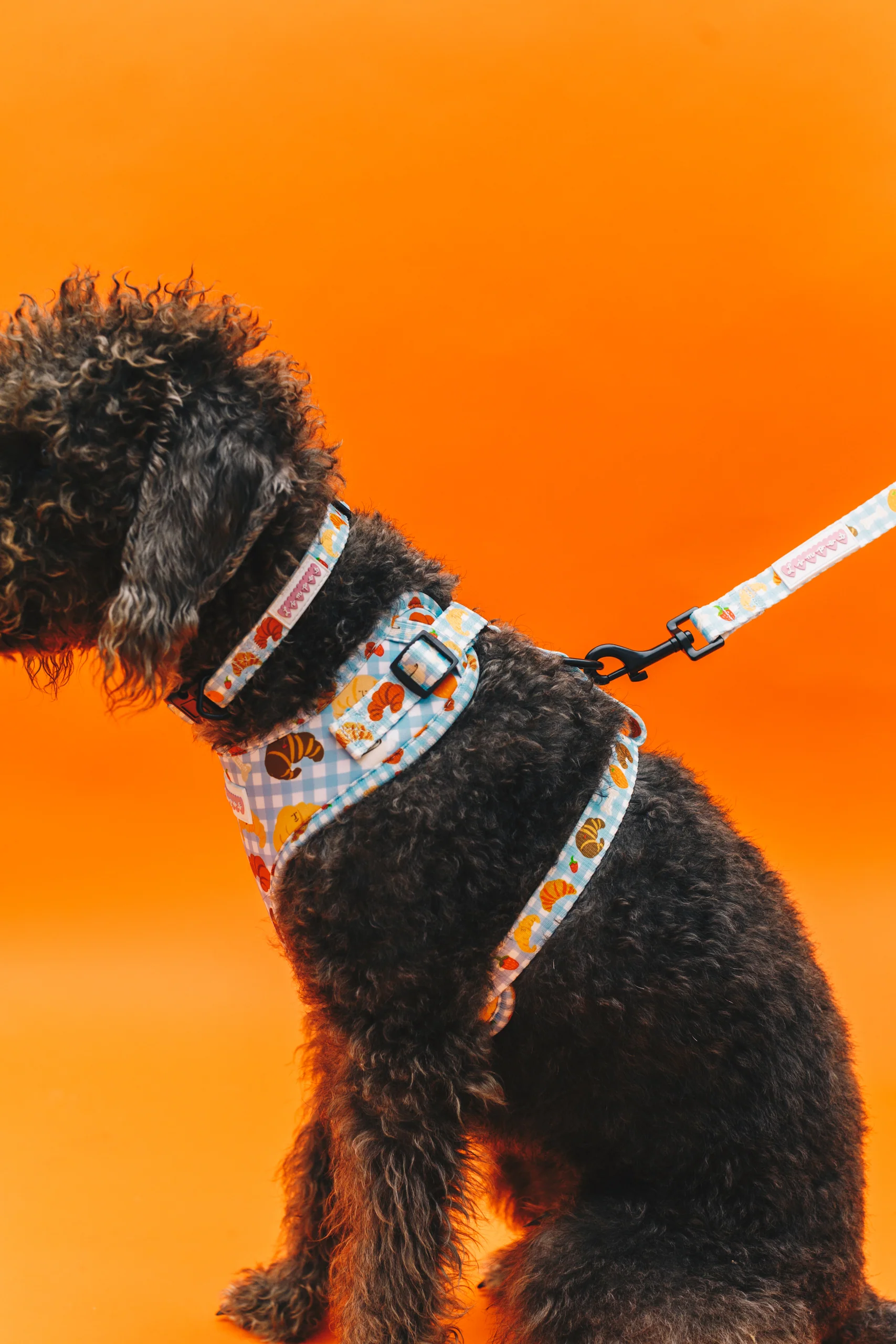 Happy Croissants Pet Harness - Image 5