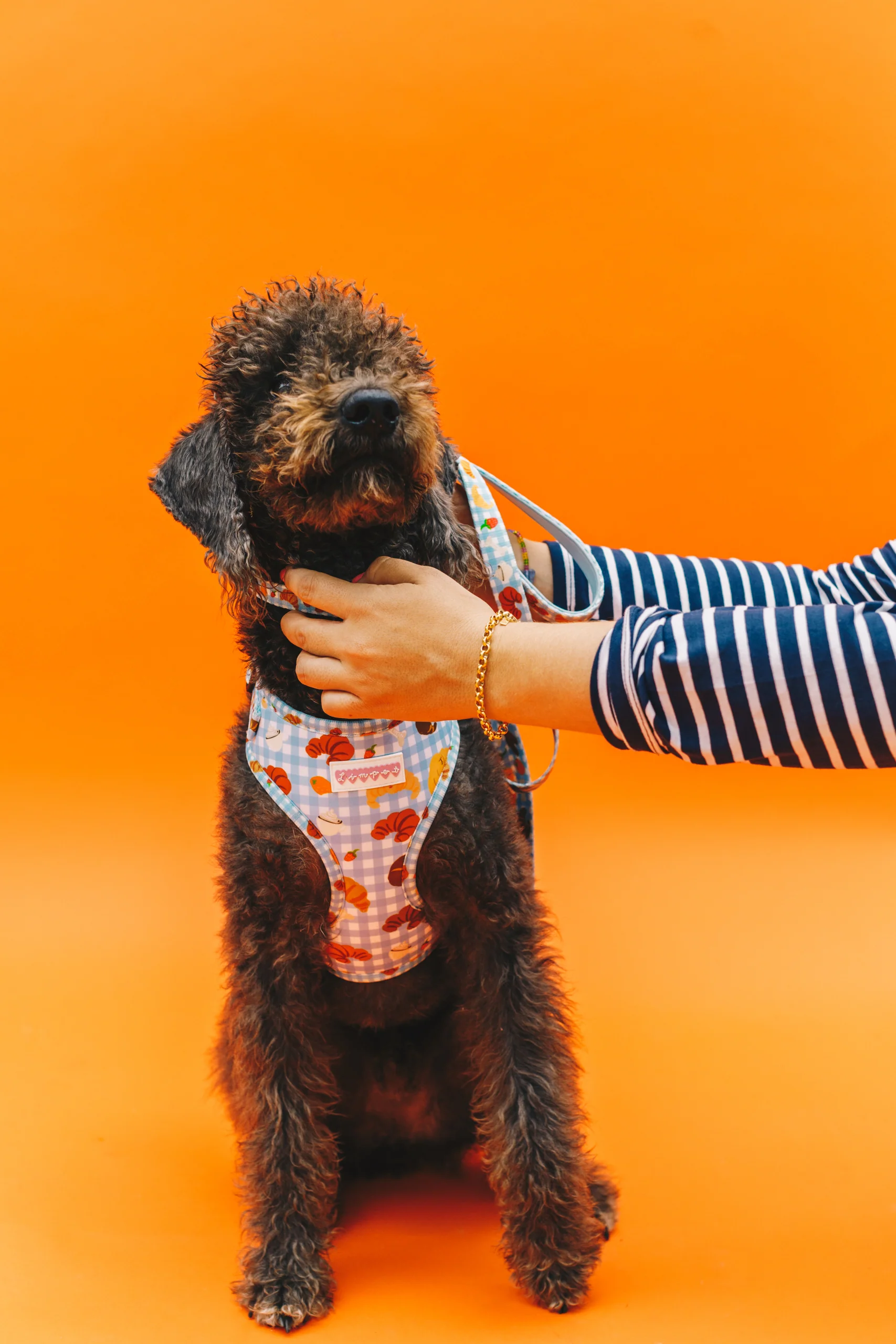 Happy Croissants Pet Harness - Image 6