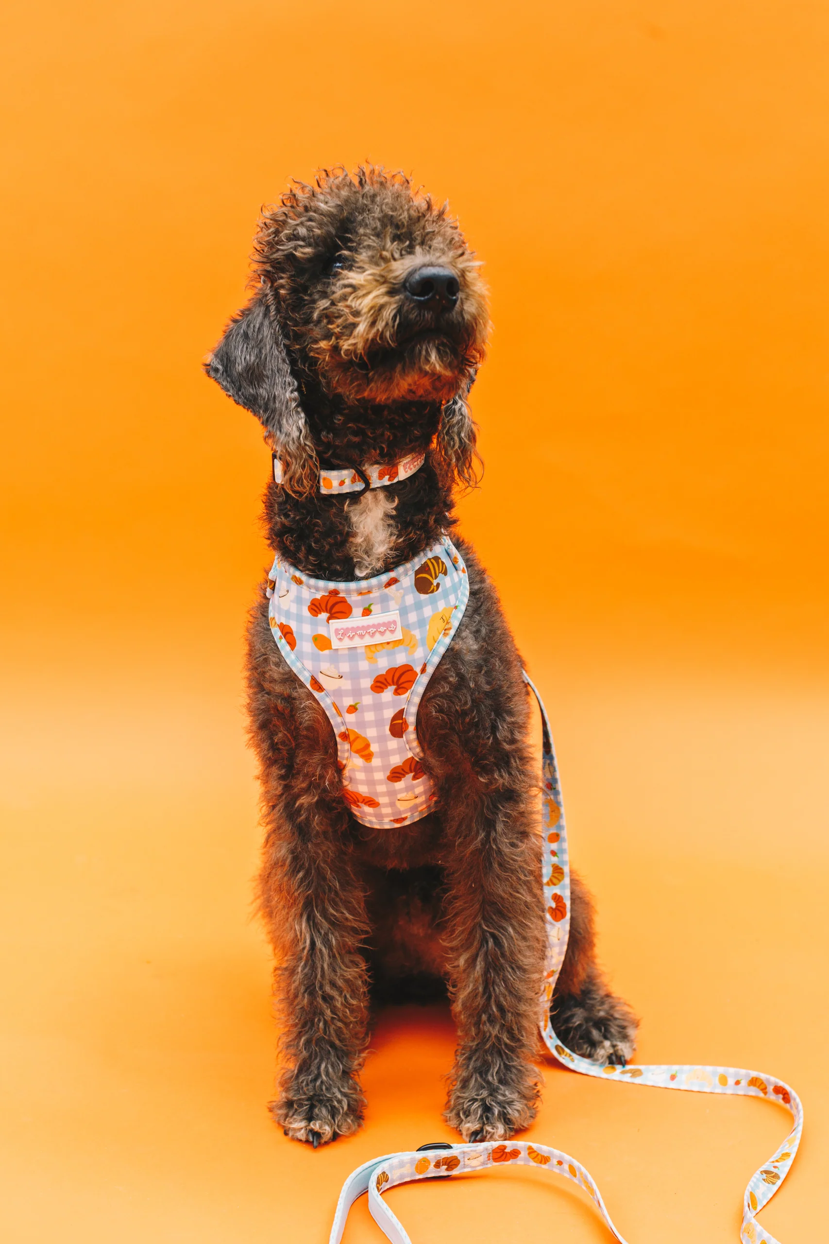 Happy Croissants Pet Harness - Image 7