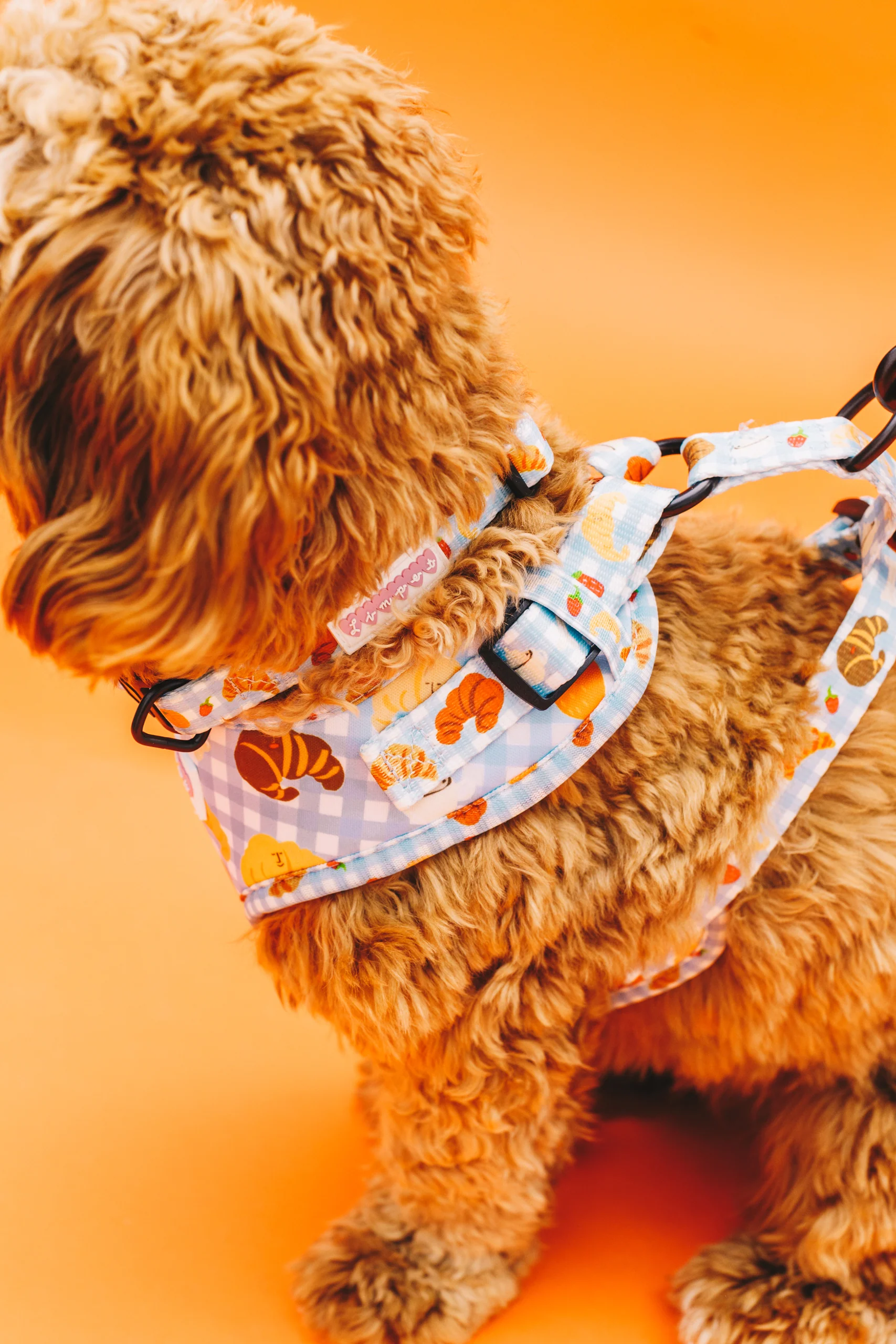 Happy Croissants Pet Harness - Image 9