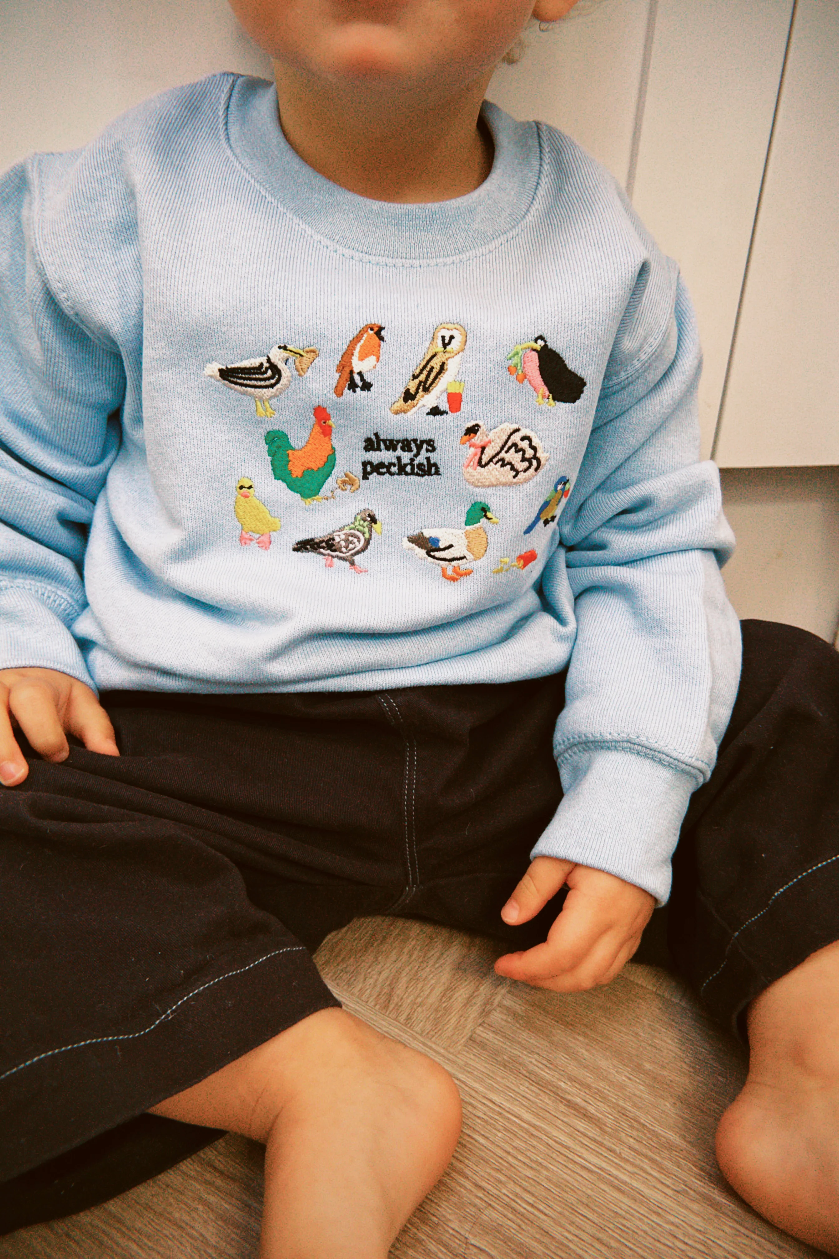KIDS - Always Peckish Oversized Sweatshirt - Image 6