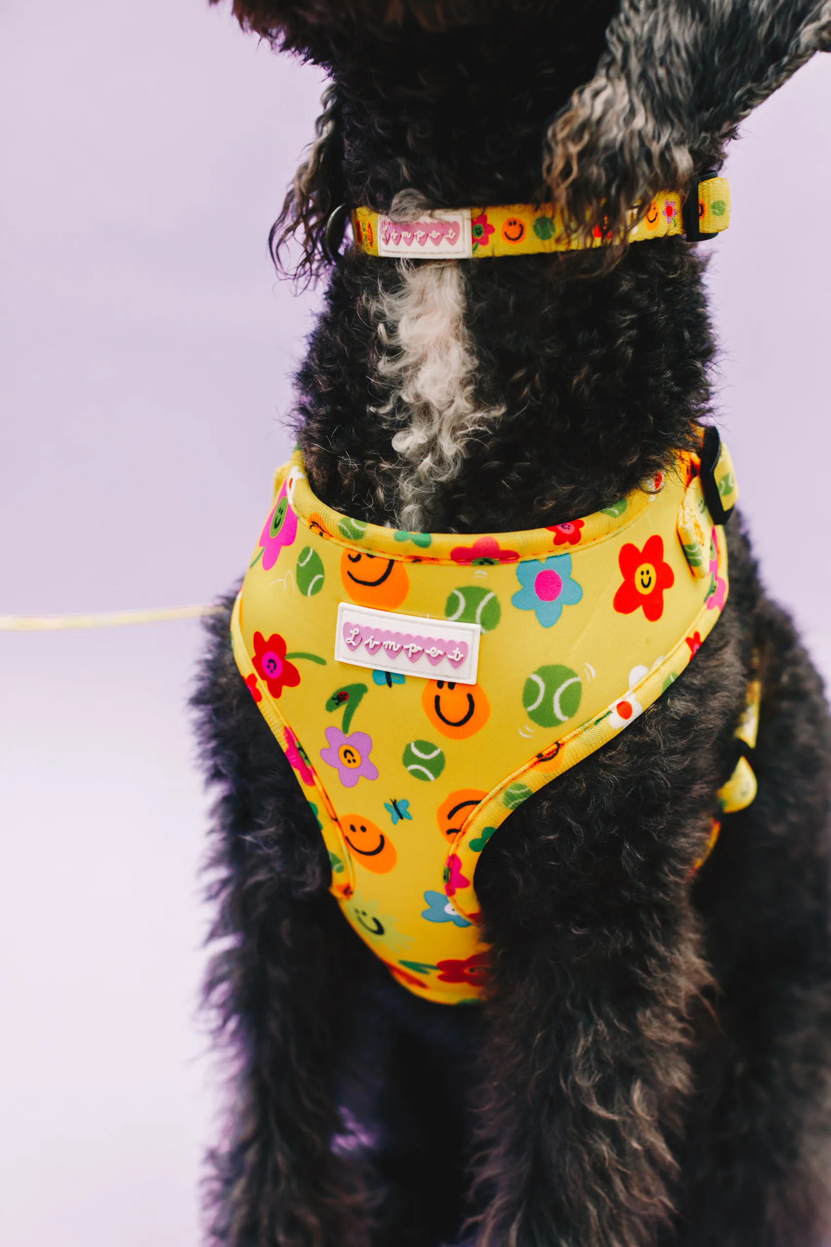 Smilies & Ballies Pet Collar - Image 6