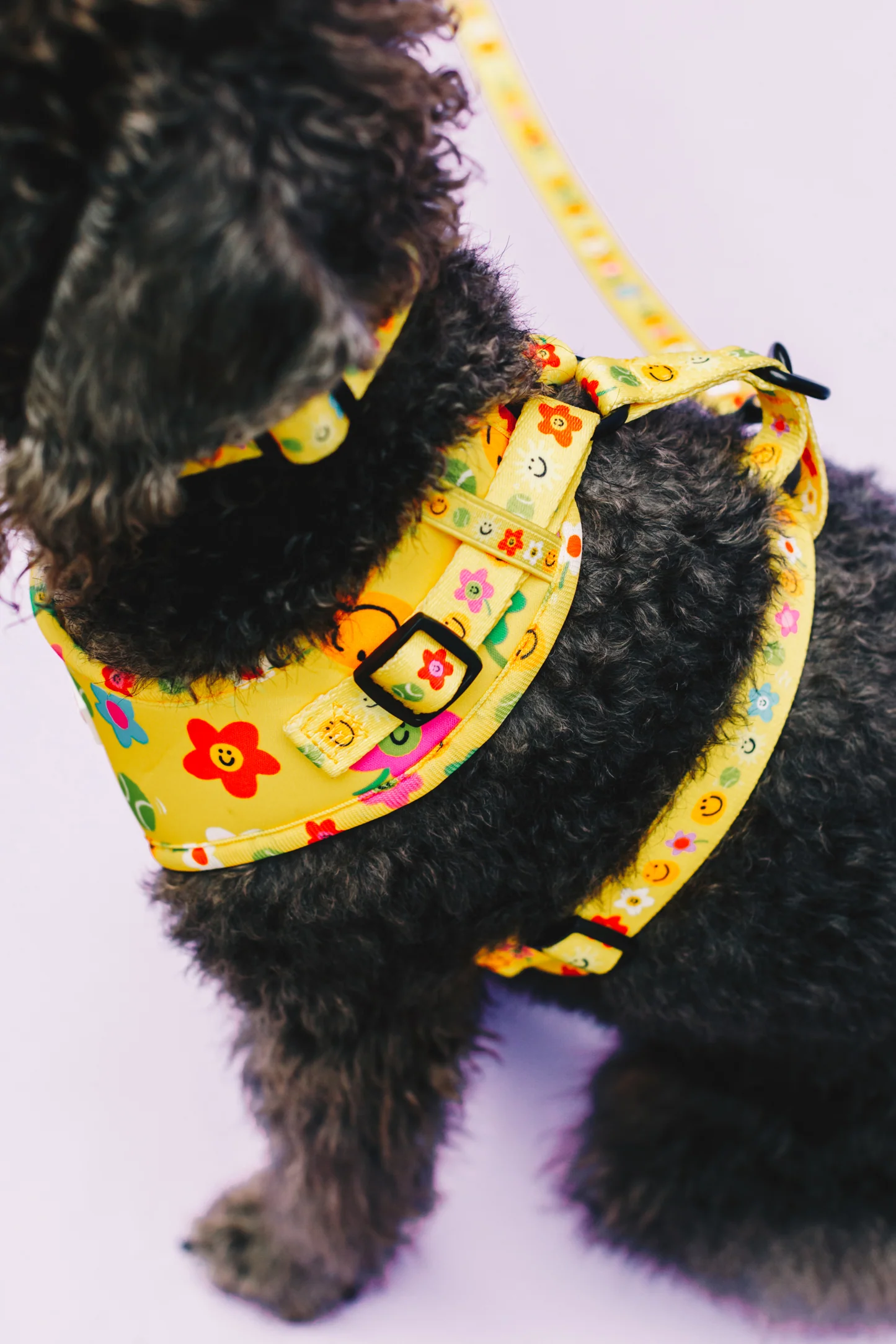 Smilies & Ballies Pet Harness - Image 3
