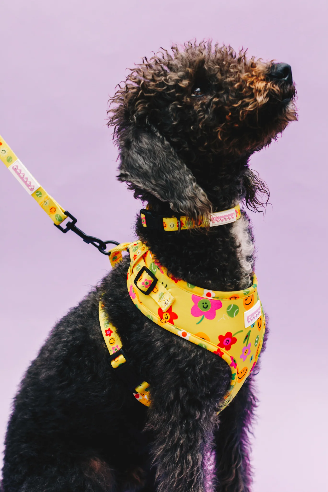 Smilies & Ballies Pet Harness - Image 4