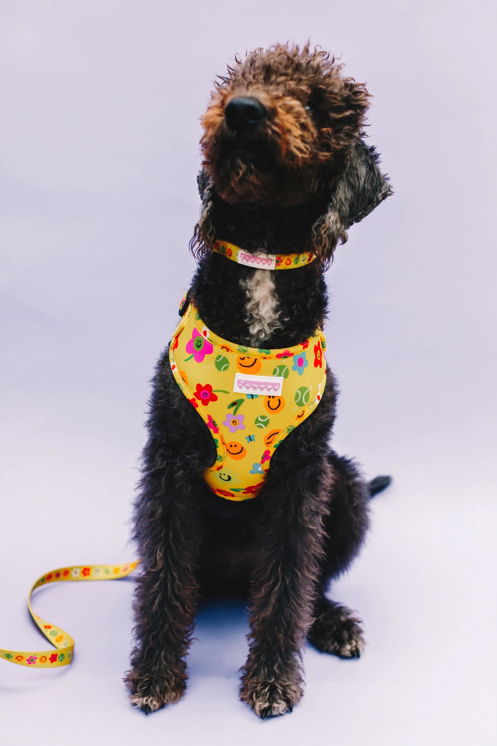 Smilies & Ballies Pet Harness - Image 6