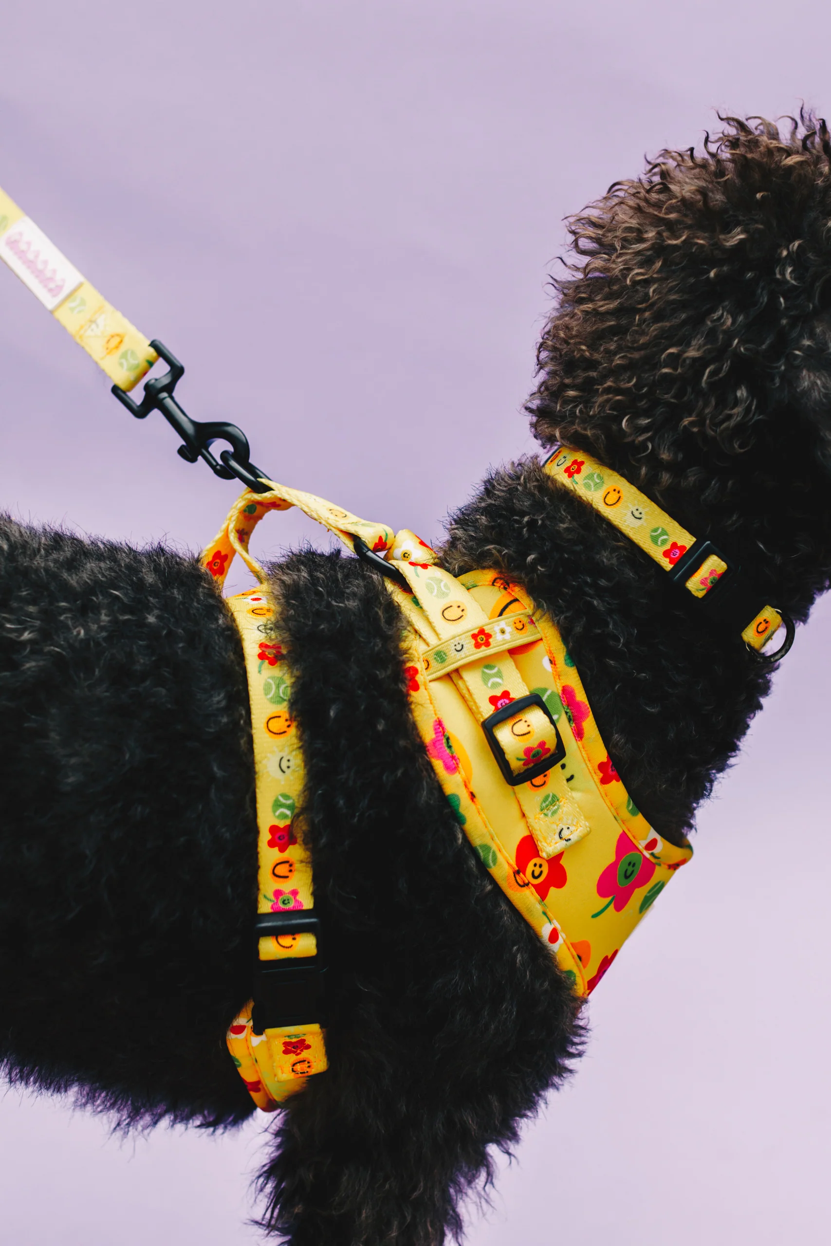 Smilies & Ballies Pet Harness - Image 7