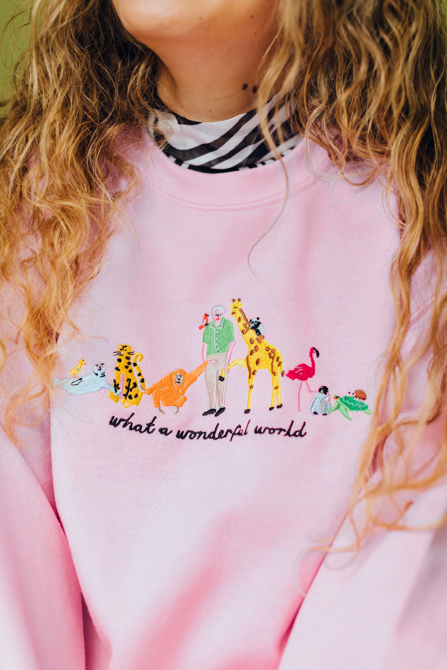 David Attenborough What A Wonderful World Embroidered Sweatshirt - Image 3